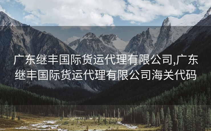 廣東繼豐國(guó)際貨運(yùn)代理有限公司,廣東繼豐國(guó)際貨運(yùn)代理有限公司海關(guān)代碼